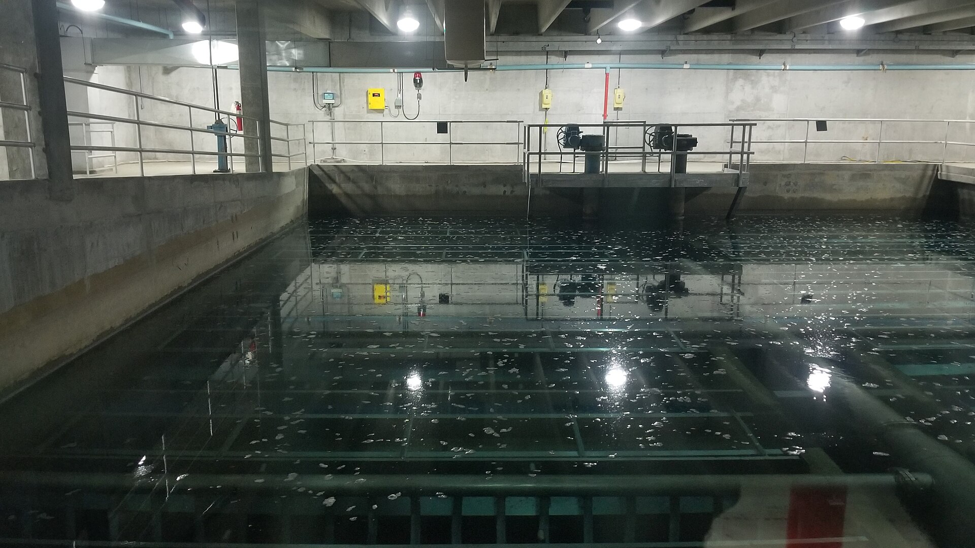 Water & Environmental